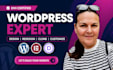 design, redsign, clone, update or customize wordpress website with elementor pro