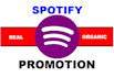 do spotify music promotion, spotify track