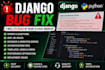 fix bugs in your django website