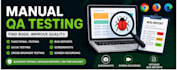 test your website and report bugs with detailed feedback