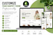 customize your shopify theme