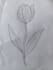 do english content writing and nature illustrations