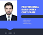 do accurate data entry, microsoft excel, google sheets and copy paste tasks