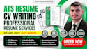write a professional job resume and CV