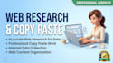 do professional web research, data collection and copy paste