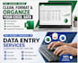 do expert data entry and excel data cleaning