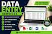 do accurate data entry, copy paste, excel and web research