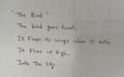 write anything with my beautiful handwriting