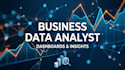 do professional data analysis and business intelligence analytics