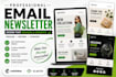 create responsive email newsletters