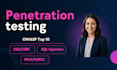 perform professional penetration testing and vulnerability assessment