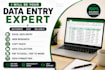 do excel data entry, web research, data collection