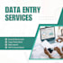 provide professional data entry and excel services