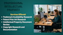 review intellectual property documents professionally