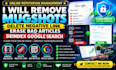 remove mugshots, delete negative link,erase bad articles, deindex google search