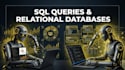 write sql queries and design relational databases