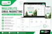 design responsive mailerlite email campaigns and automation