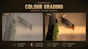 colour grade your videos professionally