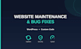 provide monthly website maintenance and bug fixes