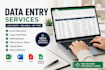 data entry and excel