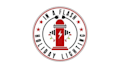 design amazing super flash holiday lighting logo