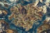 draw a wonderful custom fantasy map