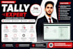 do tally prime bookkeeping accounting, and data entry professionally