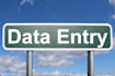 do professional data entry copy paste and web research work