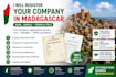 set up your business in madagascar