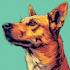 create professional animal pop art illustration