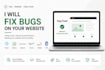 fix bugs on your website