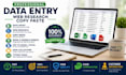 do accurate data entry web research and copy paste tasks