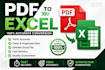 convert PDF to excel professionally
