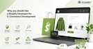 design shopify drop shipping store design