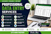 do accurate data entry, excel data entry an copy paste