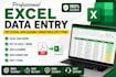 do professional excel data entry, PDF to excel, data cleaning, formatting