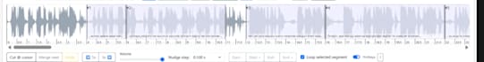 do audio segment and transcription