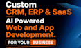 develop custom crm, erp, lms, saas web application as software developer