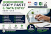 provide copy paste, PDF conversion, and data entry services