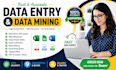 do accurate data entry, data mining, web research, and excel data collect