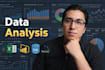 provide expert data analysis services