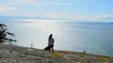 edit an engaging and polished showreel