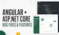 fix and improve your angular and asp net core web app