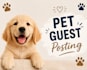published pet and animals guest post
