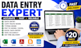 do data entry and copy paste