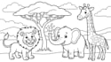 draw coloring book illustration for children