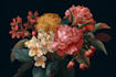 illustrate custom botanical plants flowers illustration