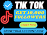 grow your tik tok account to get 1000 followers organically
