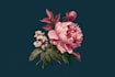 do botanical illustration of flower illustration logo