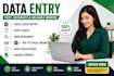 do accurate data entry, copy paste, excel and wed research